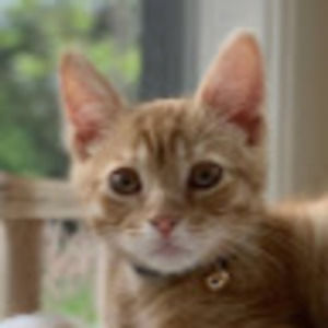 Meet your Posher, Yoonjeong